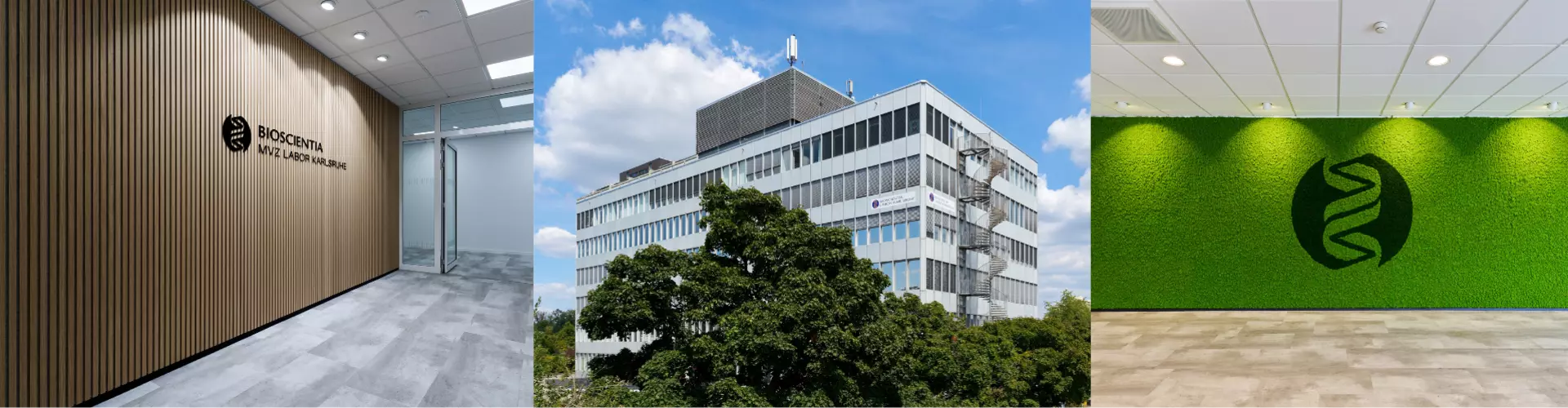Bioscientia MVZ Labor Karlsruhe GmbH cover
