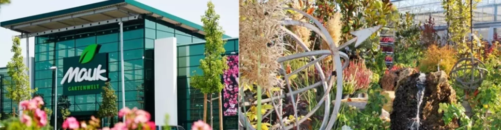 Pflanzen Mauk Blumenparadies GmbH cover