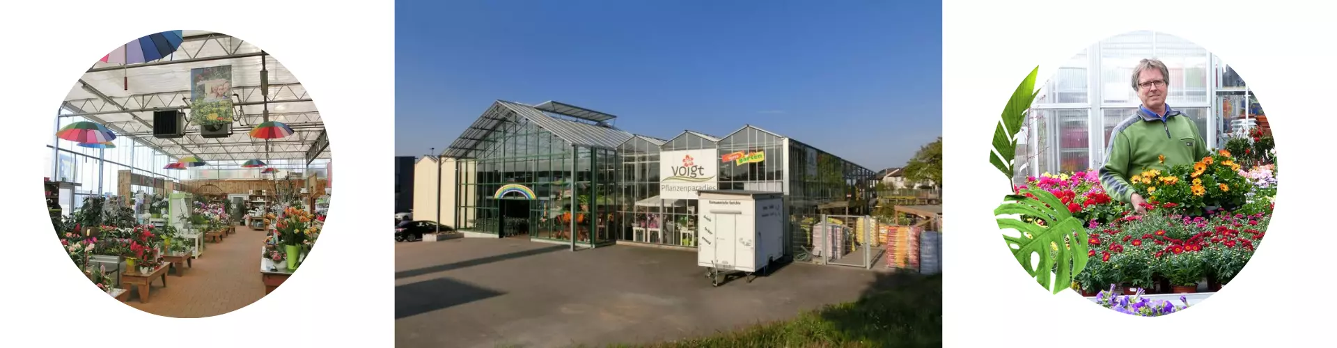 Pflanzenparadies Voigt GmbH & Co. KG cover